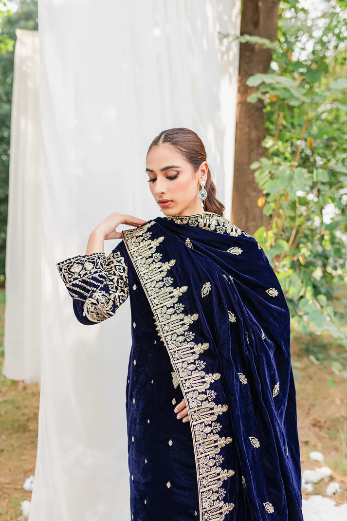 Winter VelVet Collections